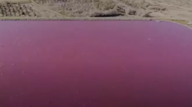 Růžové jezero nemá vysvětlení