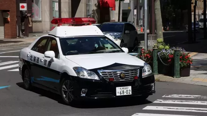 Japonská policie