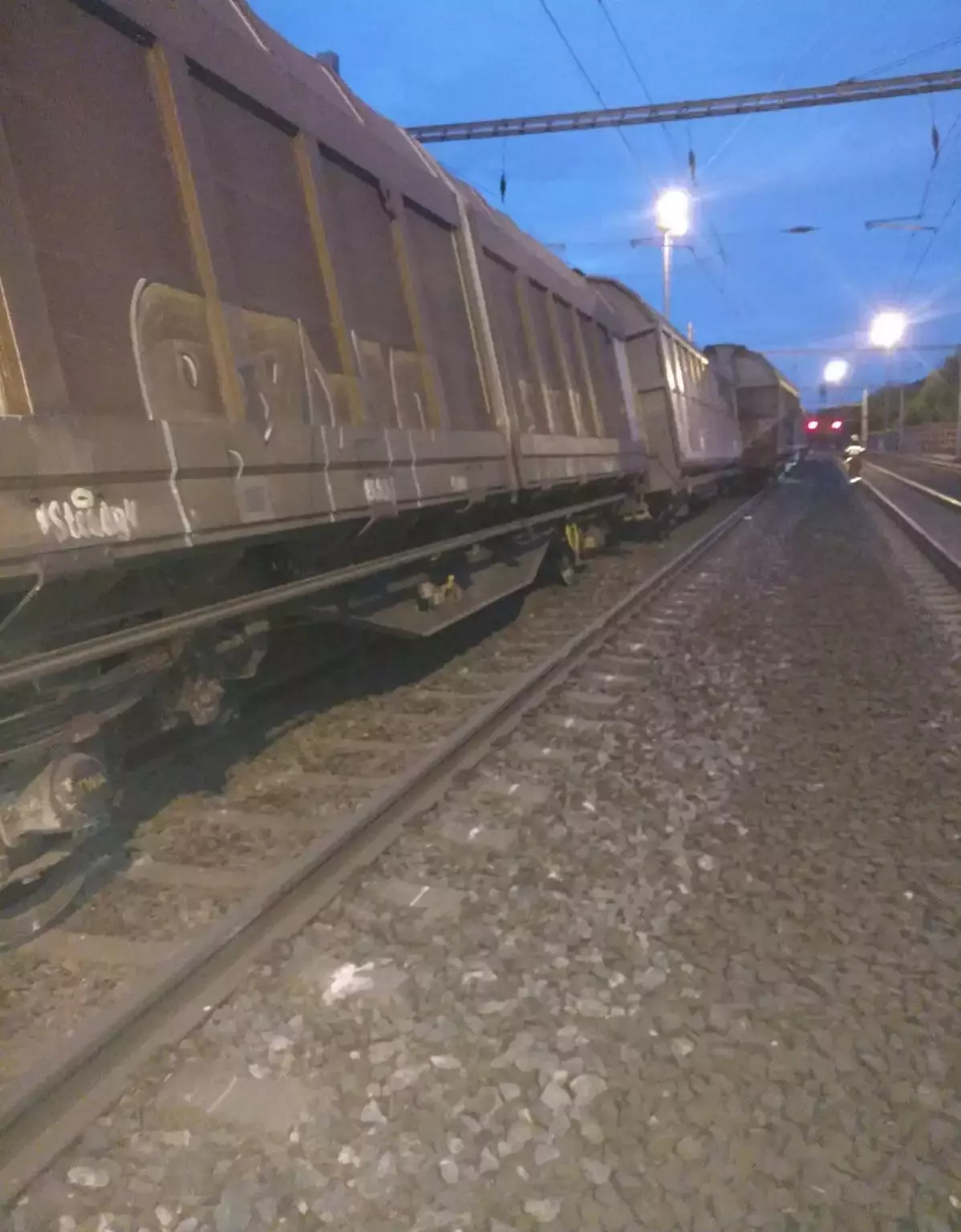 Kvůli vykolejení dvou vozů nákladního vlaku v Nelahozevsi na Mělnicku je přerušený provoz na frekventované železniční trati z Ústí nad Labem do Prahy.