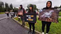 Aktivisté brání vjezdu do areálu jatek v Mirovicích na Písecku