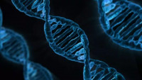 DNA, ilustrační fotografie.