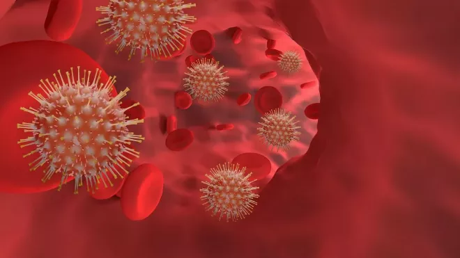 Koronavirus SARS-CoV-2, ilustrační fotografie.