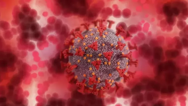Koronavirus SARS-CoV-2, ilustrační foto