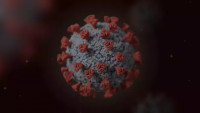 Koronavirus SARS-CoV-2, ilustrační fotografie.