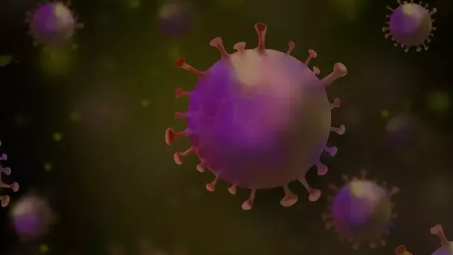 Varianta koronaviru omikron byla v posledním týdnu v 95 procentech vyšetřených vzorků. Nová s omikronem nepříbuzná podvarianta BA.2, která dominuje v Dánsku a ve Švédsku, se objevila ve 173 případech. 