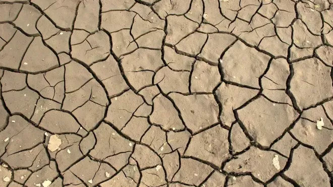 Po intenzivních lokálních srážkách v minulém týdnu se výrazně prohloubily rozdíly v míře sucha mezi jednotlivými regiony. Vyplývá to z informací, které dnes zveřejnili tvůrci projektu Intersucho na webu. 