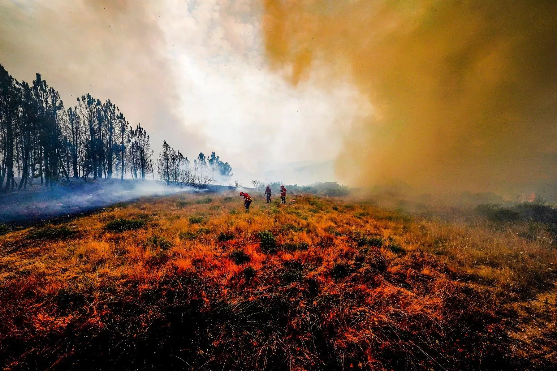 Následek lesního požáru v Portugalsku