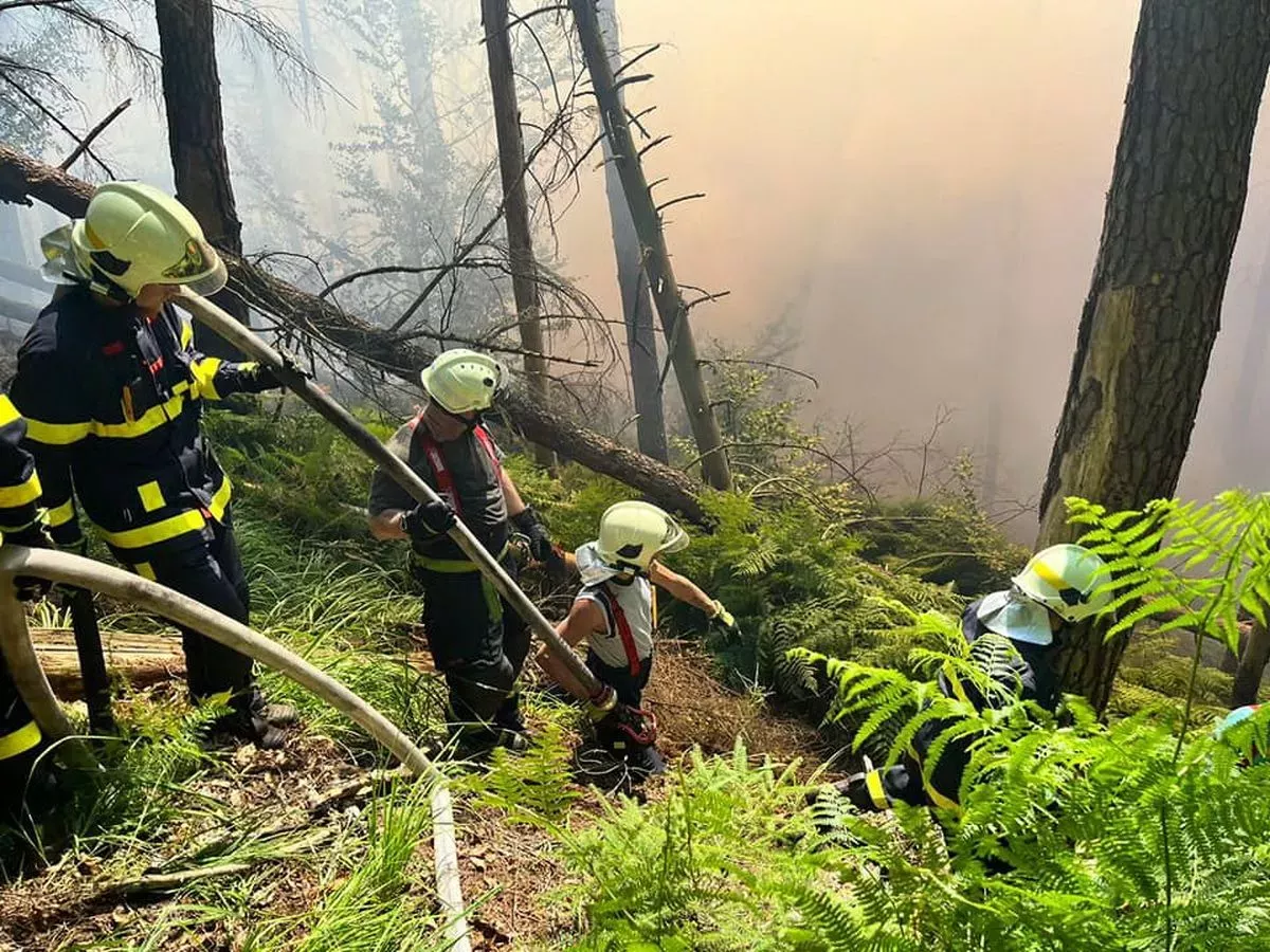 požár lesa u Hřenska (červenec 2022)