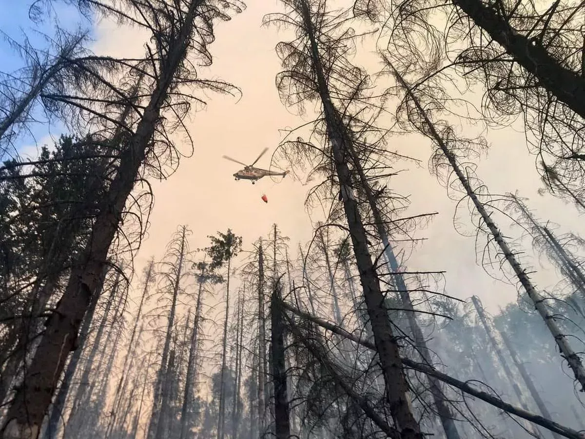 Požár lesa u Hřenska (červenec 2022)