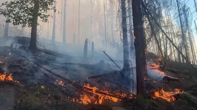 požár lesa u Hřenska (červenec 2022)