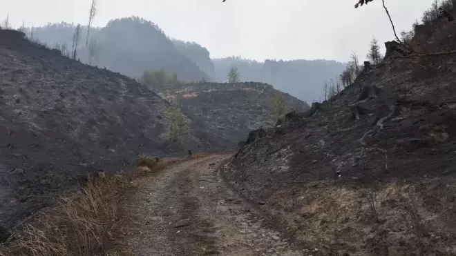 Požár lesa u Hřenska v Českém Švýcarsku